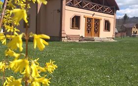 Затишок в Карпатах